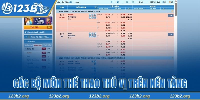 Các bộ môn thể thao thú vị trên nền tảng