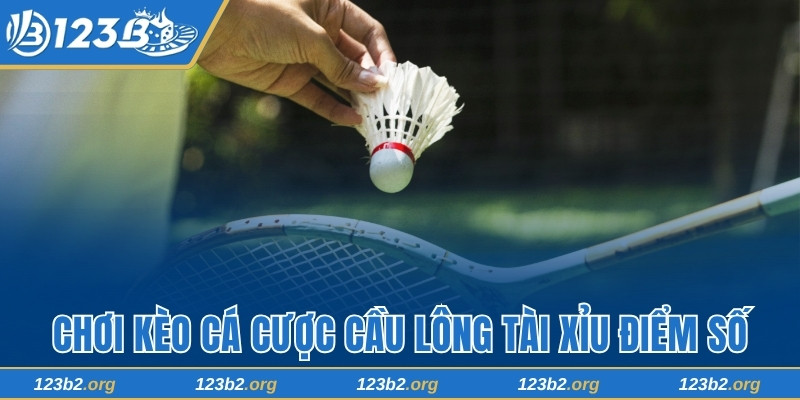 Chơi kèo cá cược cầu lông Tài Xỉu điểm số