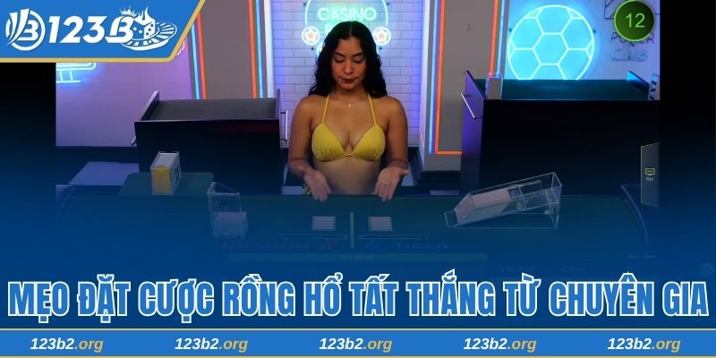 Mẹo đặt cược rồng hổ tất thắng từ chuyên gia