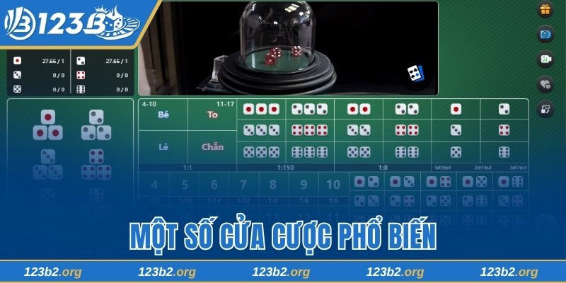 Một số cửa cược phổ biến
