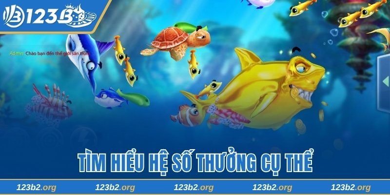 Tìm hiểu hệ số thưởng cụ thể